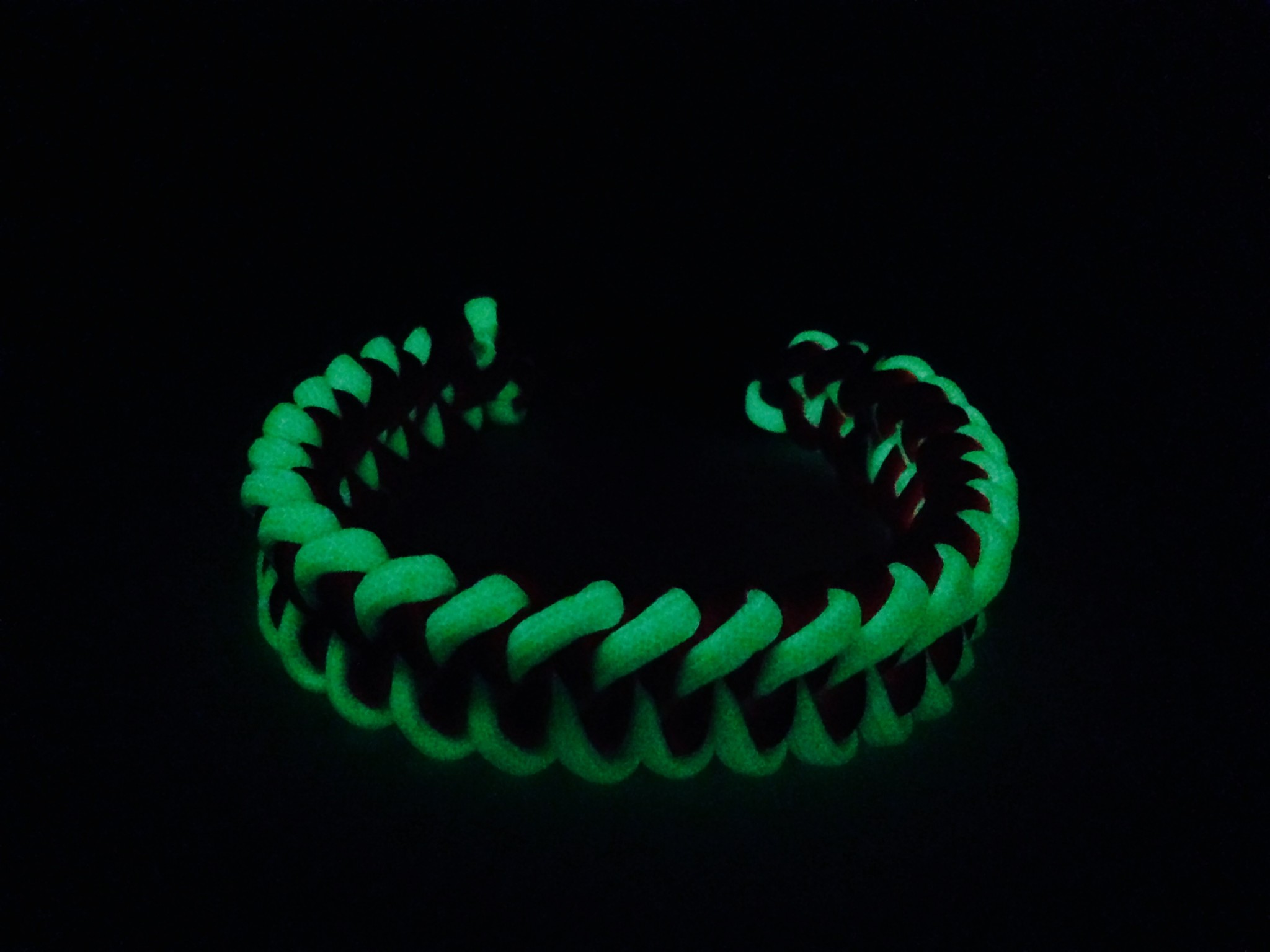  Glow  In The Dark  CustomDog Collar  High Caliber Creations